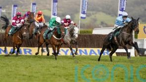 The Shunter seeking Premier renaissance on Kelso return