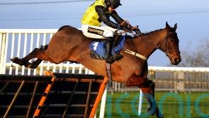 Aucunrisque back on track for Cheltenham &ndash; and return to fences