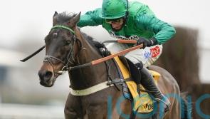 Sceau Royal sticking to hurdles at either Aintree or Sandown