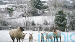 Icy stretches and some snow in parts of Ireland