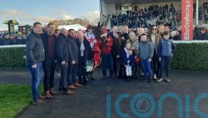 The Big Dog impresses Fahey with racecourse school