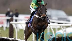 Henderson duo added to Mares&rsquo; Hurdle field