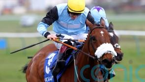 Mulholland sweet on Milkwood&rsquo;s County chance