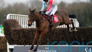 Russell team talking Cheltenham for Douglas