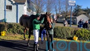 Night And Day ruled out of Cheltenham Festival