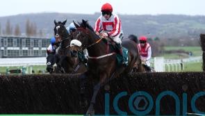 Neville favouring Festival novice option for The Real Whacker