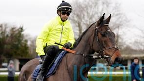 McCoy excited to see Constitution Hill strut his stuff