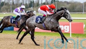 Berkshire Shadow claims Wulfruna win