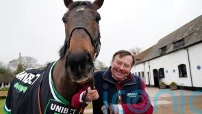 Constitution Hill faces State Man as seven line up in Champion Hurdle