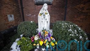 International awareness drive launched on help for institutional abuse survivors