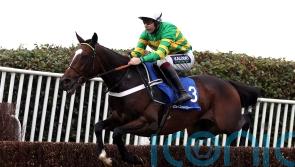 Jonbon aiming to maintain family honour in Arkle