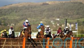 Fehily looks to &lsquo;unbelievable&rsquo; Envoi for further Festival glory