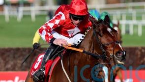 &lsquo;Everything is so easy to him&rsquo; &ndash; Elliott full of hope with Mighty Potter