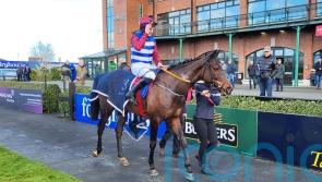 &lsquo;All systems go&rsquo; &ndash; Three Card Brag an ace to play for Elliott in Albert Bartlett