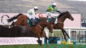 Colm Murphy back in Cheltenham winner&rsquo;s enclosure with Impervious