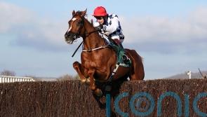 Banbridge booked for Aintree after missing Cheltenham