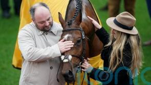 Options open for McConnell&rsquo;s Cheltenham hero Seddon