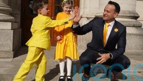 Flowers delivered to Taoiseach ahead of Daffodil Day
