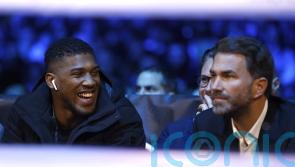 Anthony Joshua: I&rsquo;ll have no career regrets if Tyson Fury fight cannot be made