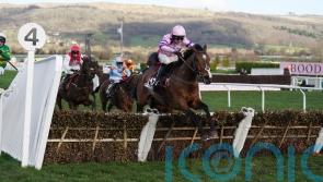 Nolan rules Aintree out for Sandor Clegane