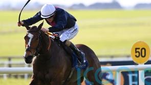 Insinuendo motors to Park Express success at the Curragh