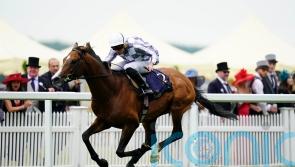 Ascot next for Dubai Gold Cup hero Broome