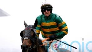 Next stop Aintree for Stayers&rsquo; Hurdle hero Sire Du Berlais