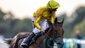 Croupier and Awaal offer Crisfords chance of Lincoln gains