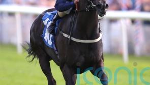 Tate &lsquo;not averse&rsquo; to stepping up in trip with Royal Aclaim