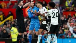 Aleksandar Mitrovic &lsquo;regrets actions&rsquo; and apologises to referee Chris Kavanagh