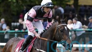 Burke optimistic as El Caballo makes Cammidge return