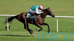 Zarinsk among potential stars on show at Leopardstown