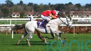 Outsider White Birch surprises Ballysax rivals