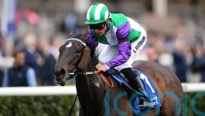 Vadream in the frame for swift return at Newcastle