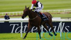 Homeless Songs returns to the fray at Leopardstown