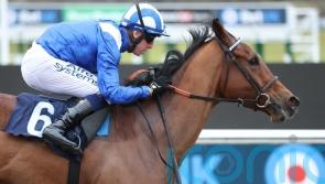 Manaafith carrying high hopes of maintaining unbeaten all-weather record