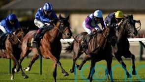 Arabian Storm geared up for Burradon test that could lead to Classic challenge