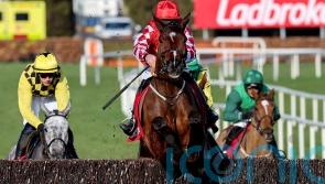 Mighty Potter &lsquo;back to his best&rsquo; for Fairyhouse recovery mission