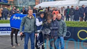 Instit floors stablemate Allegorie De Vassy at Fairyhouse