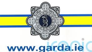 Female pedestrian, 70s, dies after being hit by car in Monaghan 
