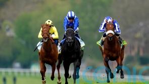 Mostahdaf team eyeing distance switch for Dubai fourth