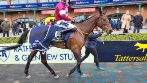 Brighterdaysahead registers &lsquo;bittersweet&rsquo; success for Gordon Elliott