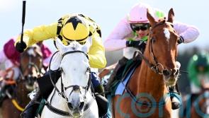 Monkfish delights in comeback second to Asterion Forlonge