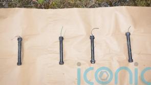 Pipe bombs found in Derry cemetery on Easter Monday were viable, police confirm