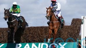 Banbridge takes full advantage of missing Cheltenham