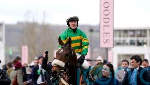 Iroko makes leap from handicap glory to Grade One test