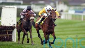 Apple Away blossoms against the boys at Aintree