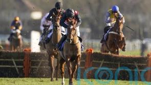 Cape Gentleman set to enjoy happy retirement in America