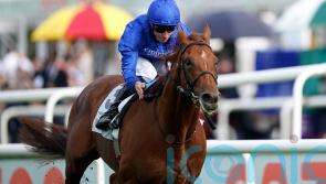 Hurricane Lane primed for Newbury return