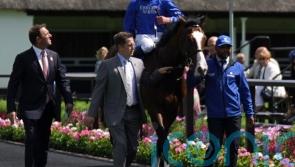 Mysterious Night takes Newmarket test in Craven